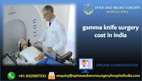 Gamma Knife in radiosurgery India