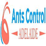 Ants Control Adelaide SA