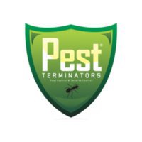Pest Control | Pembasmi Rayap Surabaya 