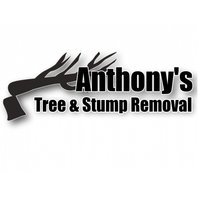 Anthony's Tree and Stump Removal, LLC