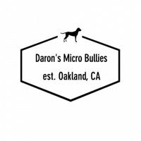 Daron's Micro Bullies