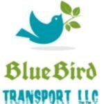 Bluebird transportllc.in