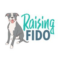 Raising Fido Dog Training