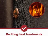 Thermal Bed Bug Heat