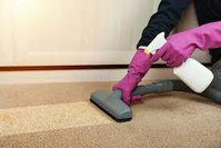 Art's Carpet & Tile Cleaning Services
