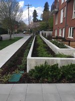 Commercial Landscaping Contractor Seattle