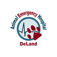 Animal Emergency Hospital DeLand