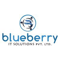 Blueberry IT Solutions