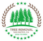 Tree Removal San Mateo