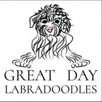 Great Day Labradoodles