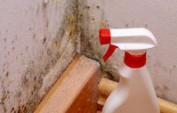 Mold Experts of Frederick