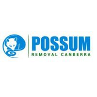 Possum Removal Canberra