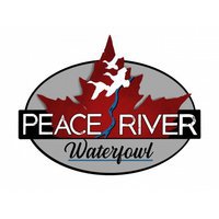 Peace River Waterfowl