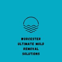 Worcester Ultimate Mold removal Solutions
