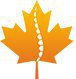 Golden Maple Physiotherapy