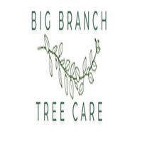 Big Branch Tree Care of Alpharetta
