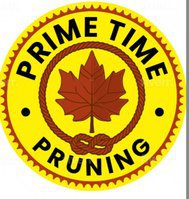 Primetime Pruning