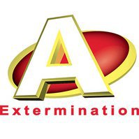 A-Extermination Montréal