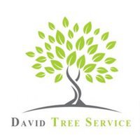 David Tree Service LLC