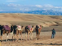 Enjoy Travel Morocco -Morocco desert tours and excursions