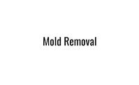 Markham mold removal