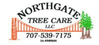 Northgate Tree Care