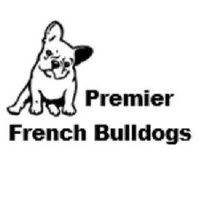 Premier French Bulldogs