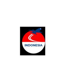 Indonesia E Visa Electronic Visa Application