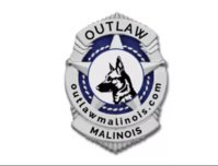 Outlaw Malinois