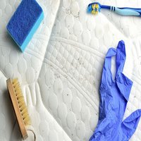 Mold Experts of Clarksville
