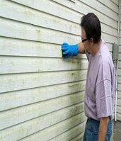 Mold Experts of Streamwood