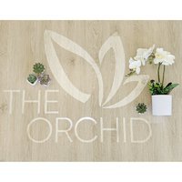 The Orchid Massage & Wellness Center 