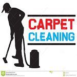 Sana Carpet Cleaner Richmond