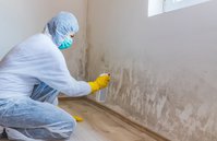 Strong Island Mold Inspections