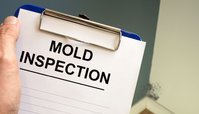 Norland Mold Inspection