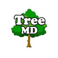 Tree MD