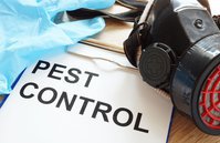 Shrimp Capital Pest Control Solutions