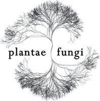 Plantae & Fungi