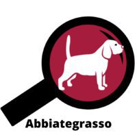Trend Finders SRL | Web Agency Abbiategrasso