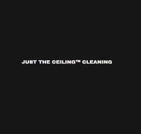 Just The Ceiling Cleaning