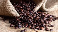 Seven Seeds Roastery - best coffee beans suppliers