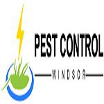 PestControl Windsor