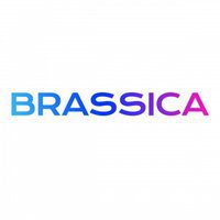 Brassica Finance
