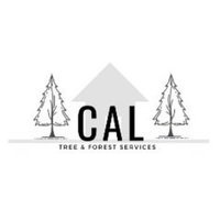 Grass Valley Tree Service Pros