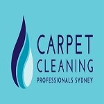 Herry Carpet Cleaner Richmond