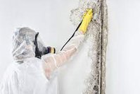 Emergency Plumbing Squad - Mold Removal