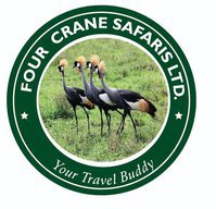 Four Crane Safaris