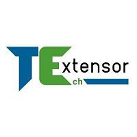 Software Development Company - TechExtensor
