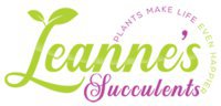 Leanne Succulents