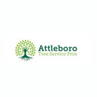 Attleboro Tree Service Pros